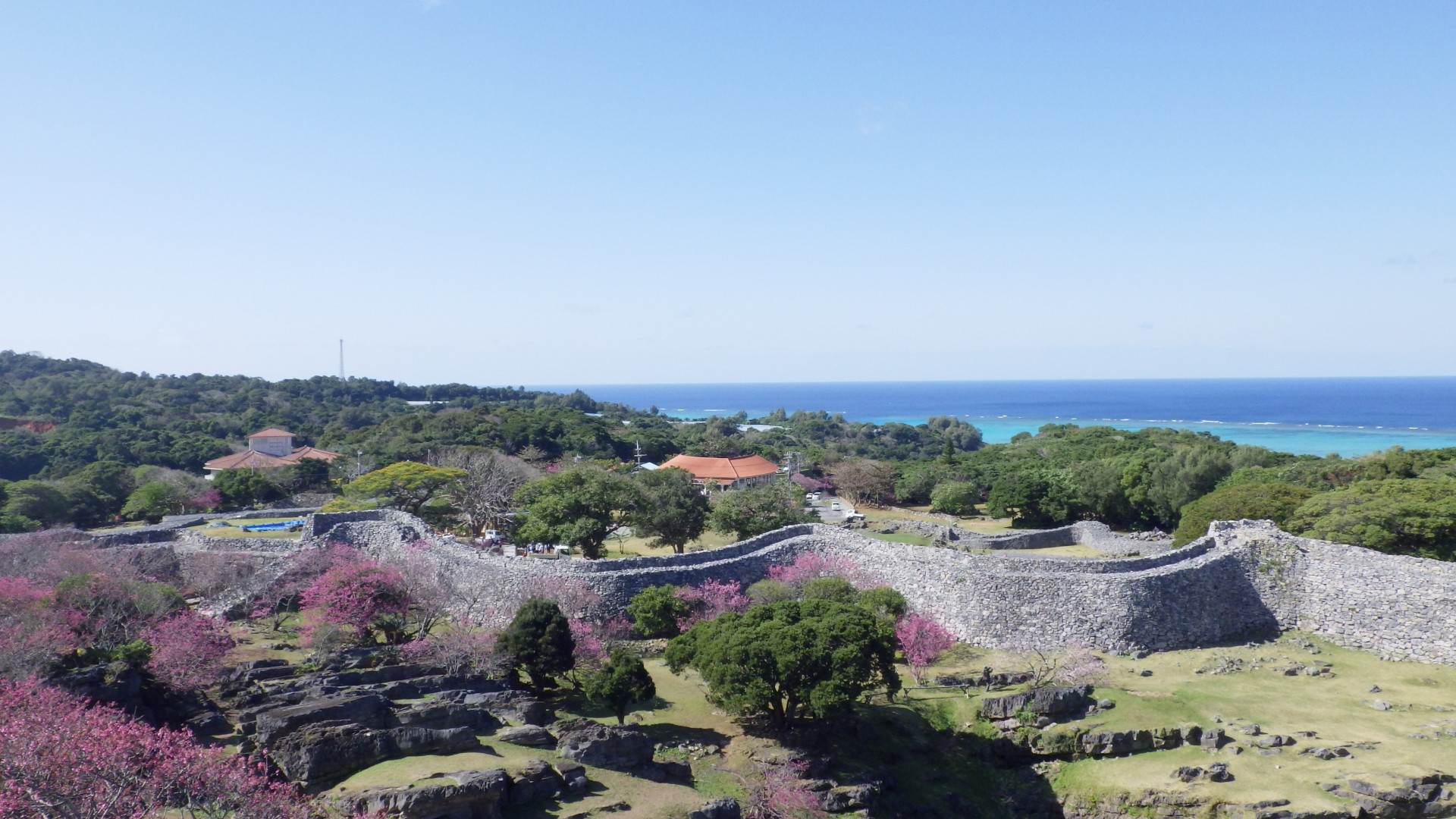 Image - 2026-02-10T165327.958